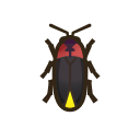 Firefly