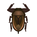 Giant water bug