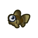 Pop-eyed Goldfish