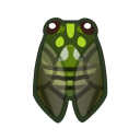 Robust Cicada