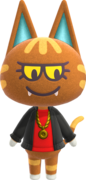 Katt