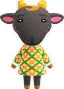 Nan