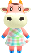 Norma