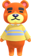 Teddy